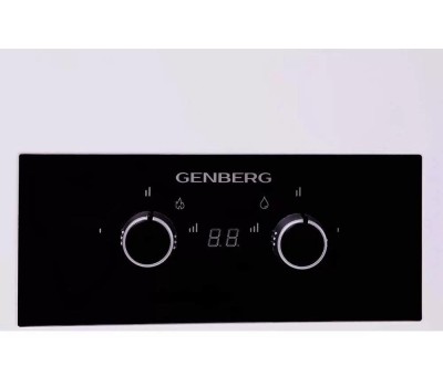 Проточный газовый водонагреватель GENBERG 410.01 ТУРБО 10 л. Белый ( 2 коробки)