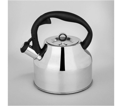 Чайник AGNESS 916-420 2,8л индукция