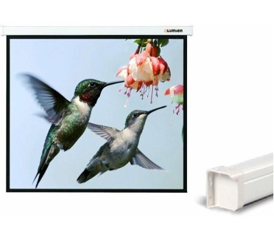 LUMIEN Экран Master Control LMC-100123, 400х229 см, 16:9, настенно-потолочный белый [lmc-100123 ]