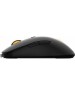 Мышь проводная RAPOO V16RGB Black