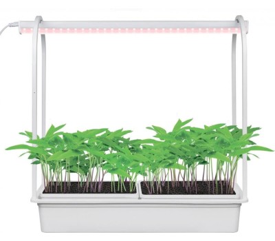 Светильник ФИТОЛЕТО (UL-00011344) ULT-P54N-10W/SPSB IP65 белый