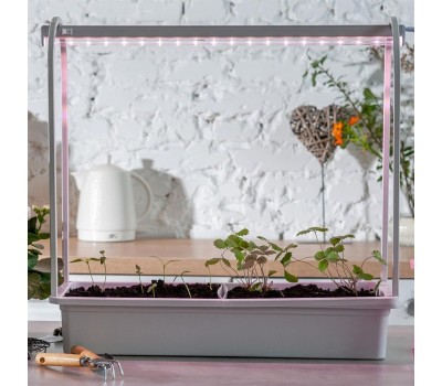 Светильник ФИТОЛЕТО (UL-00011344) ULT-P54N-10W/SPSB IP65 белый