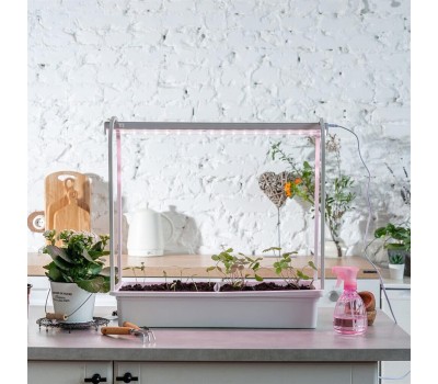 Светильник ФИТОЛЕТО (UL-00011344) ULT-P54N-10W/SPSB IP65 белый