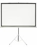Экраны CACTUS Экран Triscreen CS-PST-150x150, 150х150 см, 1:1, напольный черный