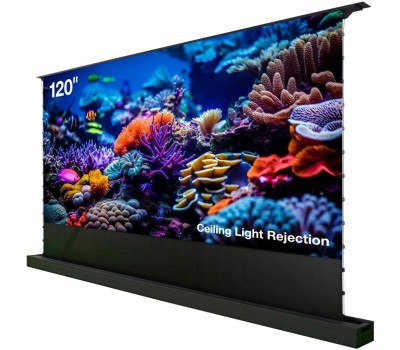 Экраны CACTUS Экран FloorRising CS-PSFRCLR-263X148, 263х148 см, 16:9, напольный черный