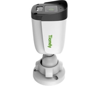 IP Камера TIANDY Камера видеонаблюдения IP AK TC-C321N I3/E/Y/2.8mm, 1920х1080 pix, 2.8 мм, белый