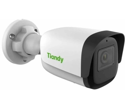 Камера видеонаблюдения TIANDY Камера видеонаблюдения IP Spark TC-C32QN I3/E/Y/4/V5.1, 1920х1080 pix, 4 мм, белый