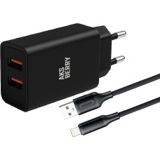 СЗУ AKSBERRY (6900209210016) T38 2 USB 2.4A + кабель Lightning, черный