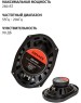 Автоакустика AIWA ASM-6920