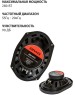 Автоакустика AIWA ASM-6920