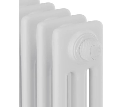 Радиатор ROYAL THERMO Дизайн-радиатор Insignia R C3050 - 26 секц. RAL9016