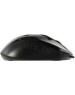 Мышь GENIUS (31010231100) DX-150X черный