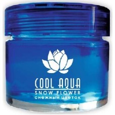 Ароматизатор AZARD (СА-13) ароматизатор Cool Aqua, снежный цветок