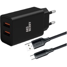 СЗУ AKSBERRY (6900209220015) T38 2 USB 2.4A + кабель MicroUSB, черный