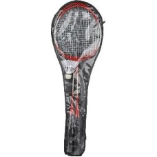 Настольные и спортивные игры ЭКОС BdSet-04 набор для игры в бадминтон (323121)