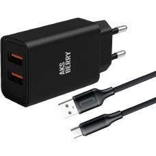 СЗУ AKSBERRY (6900209230014) T38 2 USB 2.4A + кабель Type C, черный
