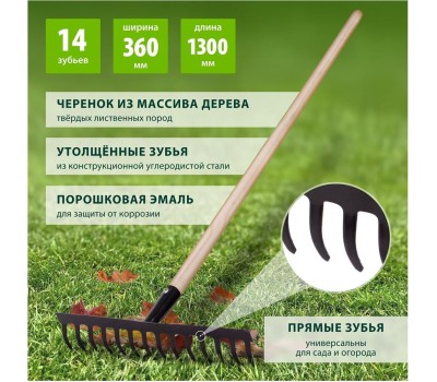 Грабли СИБРТЕХ Грабли стальные, 360х1300 мм, 14 прямых зубьев, деревянный черенок 61742