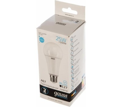 GAUSS Лампа LED E27, груша, 25Вт, Elementary A67, одна шт. [73235]