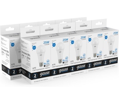 GAUSS Лампа LED E27, груша, 25Вт, Elementary A67, одна шт. [73235]