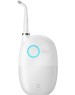 Ирригатор OCLEAN Ирригатор AirPump A10 W7602 цвет:серый