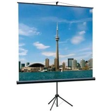 LUMIEN Экран Eco View LEV-100102, 180х180 см, 1:1, напольный