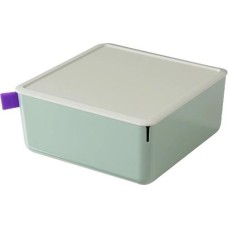 DELI Короб для хранения XDM11green 1отд. 212x212x93.5мм зеленый/серый пластик