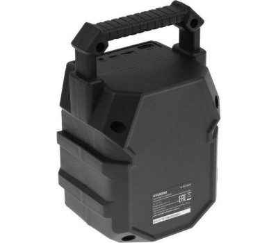 Акустика портативная HYUNDAI H-PS1000, 9Вт, черный