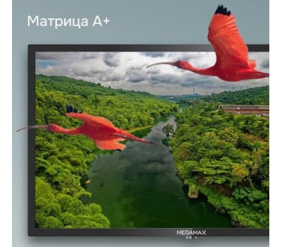 Телевизор MEGAMAX 24MG11H HD