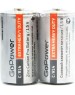 Элементы питания GOPOWER (00-00015596) Extra Heavy Duty C / R14