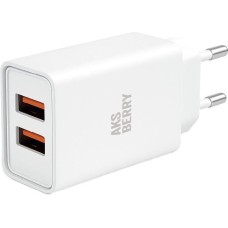 СЗУ AKSBERRY (6900209800019) T38 2 USB 2.4A, белый