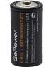 Элементы питания GOPOWER (00-00015596) Extra Heavy Duty C / R14