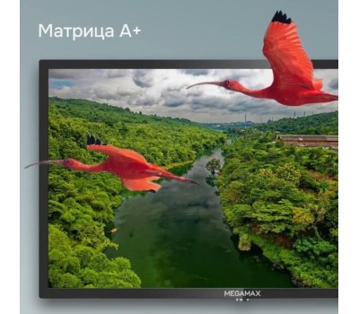 Телевизор MEGAMAX 24MG11HSM HD SMART TV Android