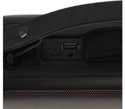 Колонка портативная HYUNDAI H-PS1020