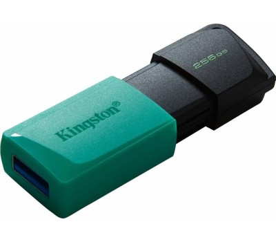 KINGSTON Флэш-накопитель USB3.2 256GB DTXM/256GB