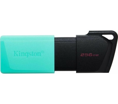 KINGSTON Флэш-накопитель USB3.2 256GB DTXM/256GB