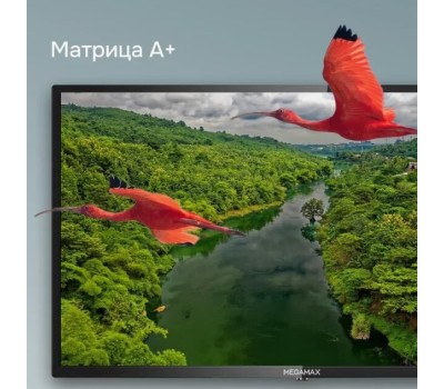 Телевизор MEGAMAX 32MG11HSM HD SMART TV Android