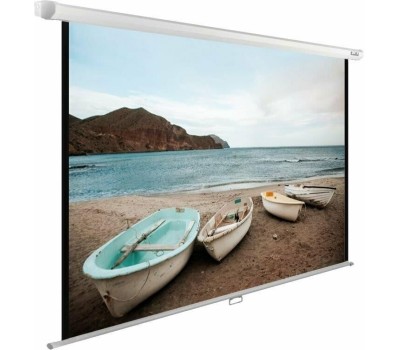 Экраны CACTUS Экран WallExpert CS-PSWE-240x240-WT, 240х240 см, 1:1, настенно-потолочный