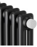 Радиатор ROYAL THERMO Дизайн-радиатор Insignia VC2180 - 06 секц. Technoline