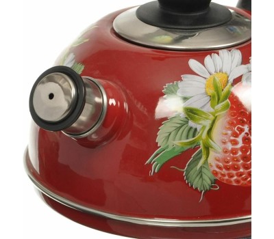 Чайник ЭМАЛЬ T04/25/01 эмал 2,5л конс/руч бордо