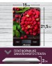 Весы АКСИНЬЯ КС-6502 