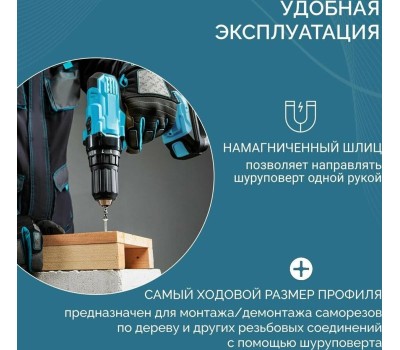 Бита GROSS Бита двухсторонняя, PH2-PH2 х 45 мм, сталь S2, 10 шт. 11209