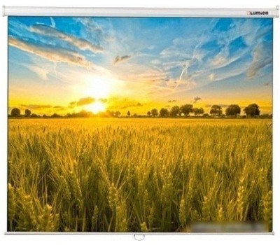 LUMIEN Экран Eco Picture LEP-100124, 280х178 см, 16:10, настенно-потолочный