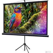 Lumien Eco View LEV-100115 Экран на штативе 130x227 см (раб.область 124х221 см) (100