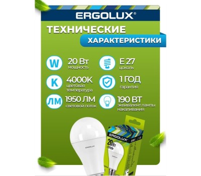 Лампочка светодиодная ERGOLUX (13183) LED-A65-20W-E27-4K
