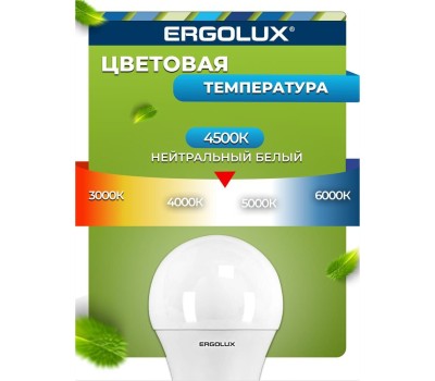 Лампочка светодиодная ERGOLUX (13183) LED-A65-20W-E27-4K