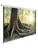 Экраны CACTUS Экран WallExpert CS-PSWE-220x220-WT, 220х220 см, 1:1, настенно-потолочный