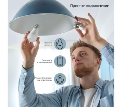 GAUSS Умная лампа Smart Home E27 белая 10Вт 1055lm Wi-Fi (1шт) [1070112]