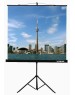 Экраны LUMIEN Экран Eco View LEV-100101, 150х150 см, 1:1, напольный