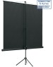 Экраны LUMIEN Экран Eco View LEV-100101, 150х150 см, 1:1, напольный