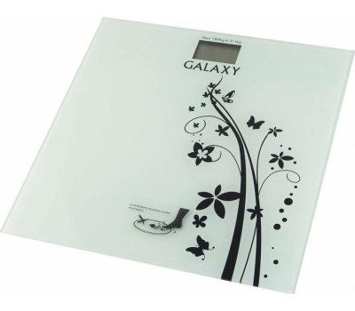 Весы GALAXY GL 4800